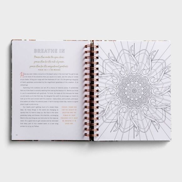 DEVOTIONAL ICOLORING BOOK "SET Your MIND on THINGS ABOVE" BEAUTIFUL ART Gift! - Picture 10 of 10